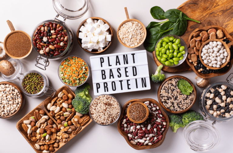 Benefits of plant-based protein, plant-based diet, plant-based, plant-based protein, plant-based protein bar