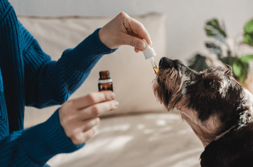 CBD Manufacturer Chaos: Major Quality Control Issues Challenge The Industry 3 cbd manufacturer, cbd, cbd private label, cbd whiet label, partners process