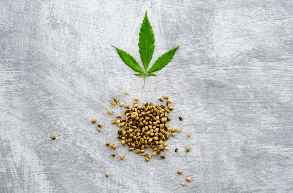 CBD Manufacturer Chaos: Major Quality Control Issues Challenge The Industry 5 cbd manufacturer, cbd, cbd private label, cbd whiet label, partners process