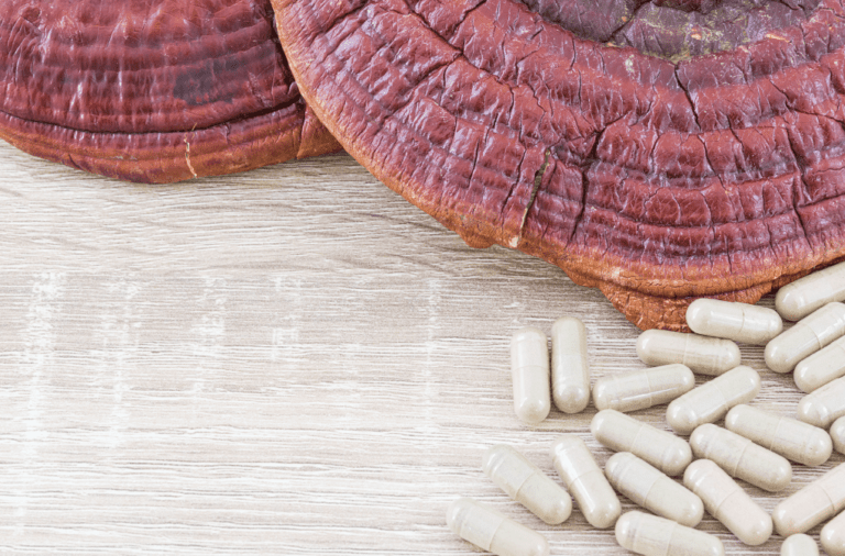 Reishi Spores: Powerful Ancient Medicine For The 21st Century