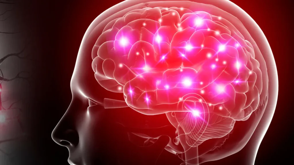 Spotlight On Viva Naturals Krill Oil: Boost Your Omega-3s 2 Healthy brain.