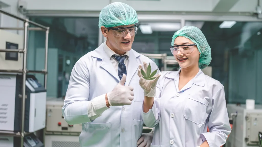 Health-Conscious Seniors Are Turning to CBD More Than Ever, and This Natural Anti-Inflammatory May Relieve Pain, Improve Sleep, and Even Help Preserve Brain Health 2 CBD's anti-inflammatory and pain-relieving mechanisms
