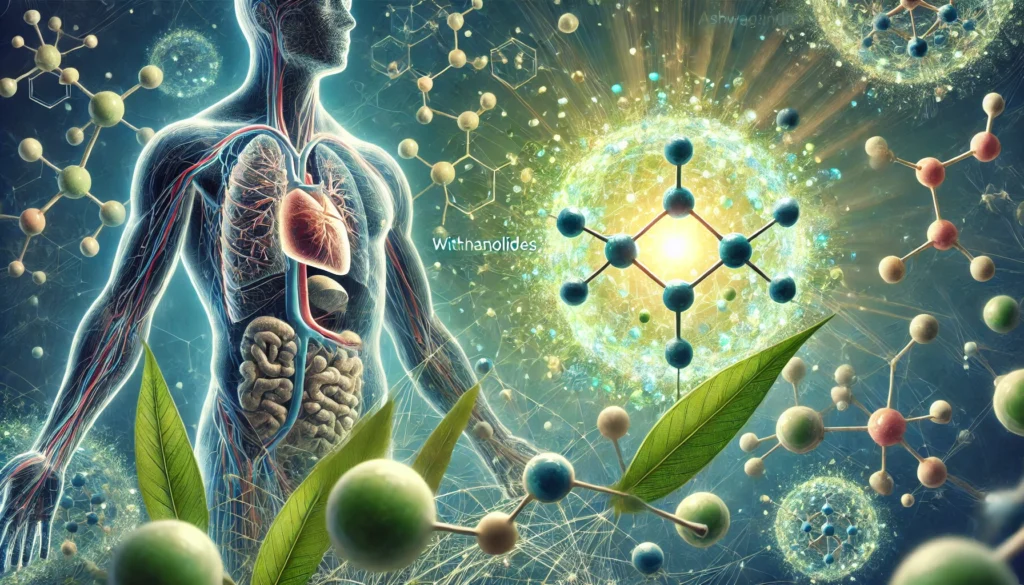 A scientific visualization of Ashwagandha’s active compounds, with glowing withanolides interacting with human cells in a futuristic bioactive representation.