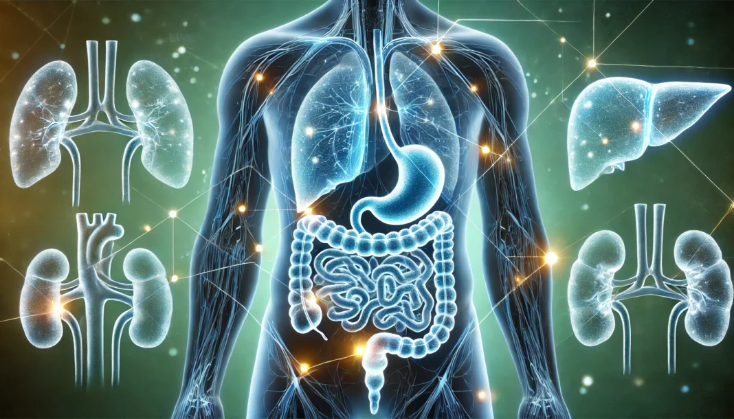 A futuristic digital visualization of the human body's detoxification process, with glowing pathways highlighting the liver, kidneys, and digestive system removing toxins. The sleek, scientific design in blue and green tones symbolizes purity and renewal.