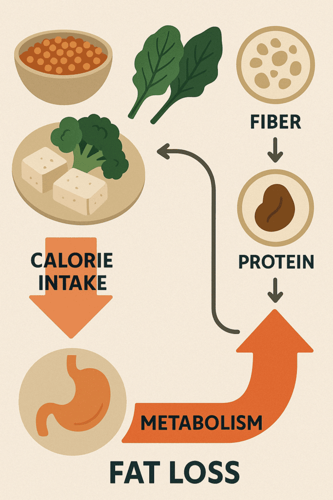 "Balanced lunch plate with leafy greens, quinoa, and plant-based protein, emphasizing the role of lunch in weight management and satiety."