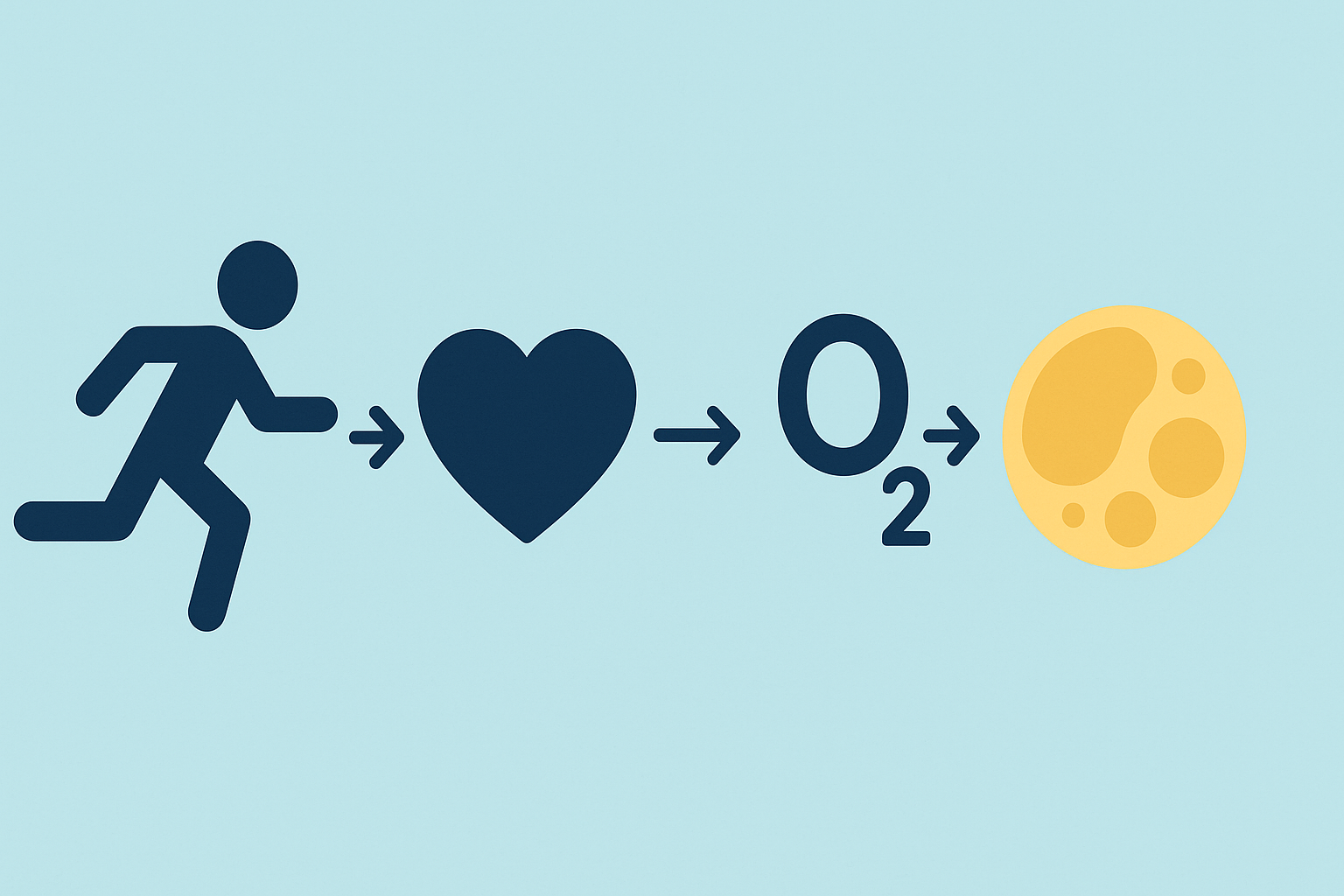Boost Endurance and Burn Calories Anywhere: How Standing Cardio and Aerobic Exercise Moves Support Performance Naturally 6 Infographic showing the standing cardio fat-burning process with icons of a runner, heart, oxygen molecule, and fat cell connected by arrows.