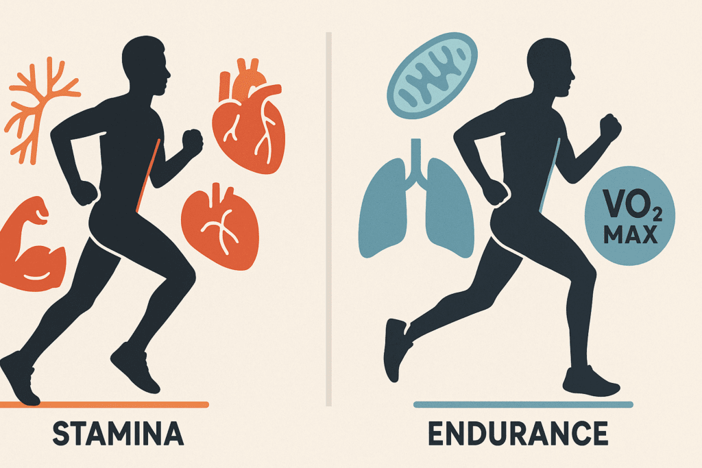 Infographic contrasting stamina and endurance in running with visuals of heart, lungs, muscles, mitochondria, and VO2 max to help build running stamina fast
