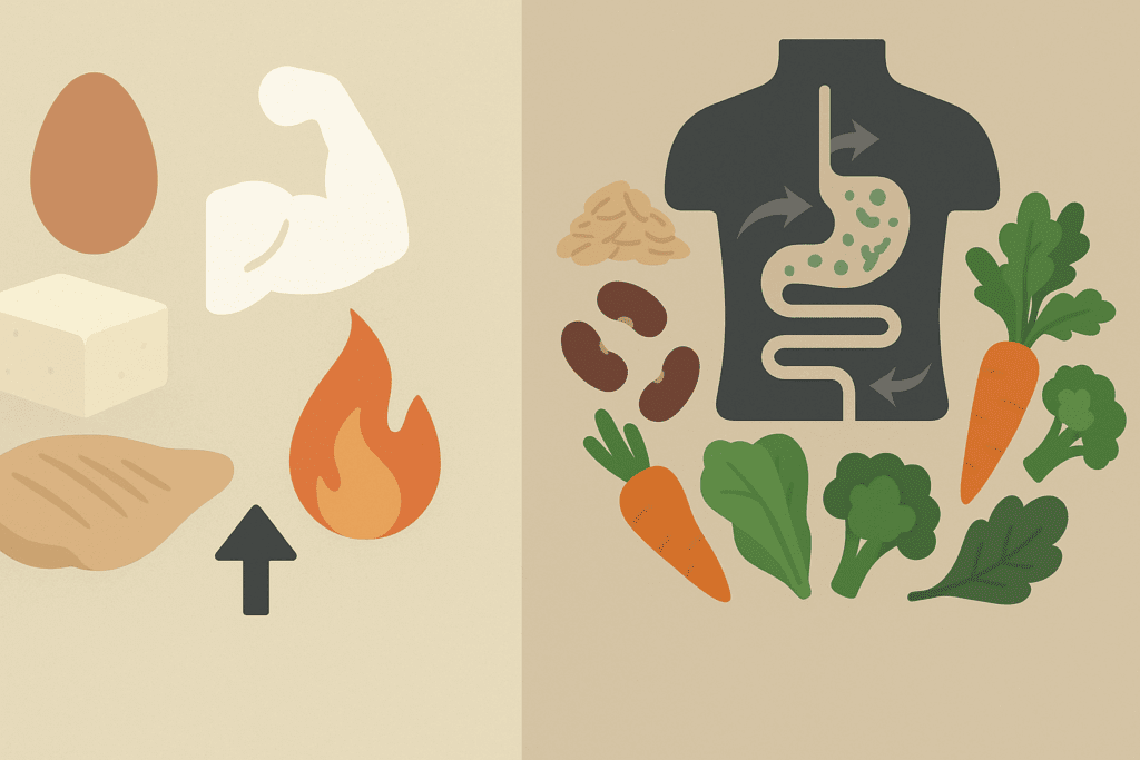 Split-screen infographic showing effects of a high protein high fiber diet with protein sources boosting metabolism and fiber-rich foods aiding digestion