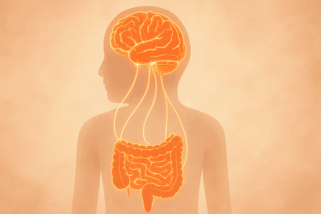 The Essential Guide to Diet Rich in Gut-Boosting Foods: How a Holistic Approach Can Support Digestion Naturally 6 Conceptual illustration showing glowing neural pathways between the brain and gut, symbolizing the gut-brain axis and effects of a Diet Rich in gut-boosting foods.