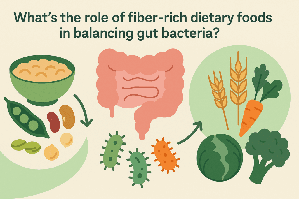 The Essential Guide to Dietary Foods That Help Support Gut Health and Holistic Wellness Naturally 6 Infographic showing the role of fiber-rich dietary foods that help balance gut bacteria, illustrating the difference between soluble and insoluble fiber foods like oats, legumes, whole grains, and vegetables.