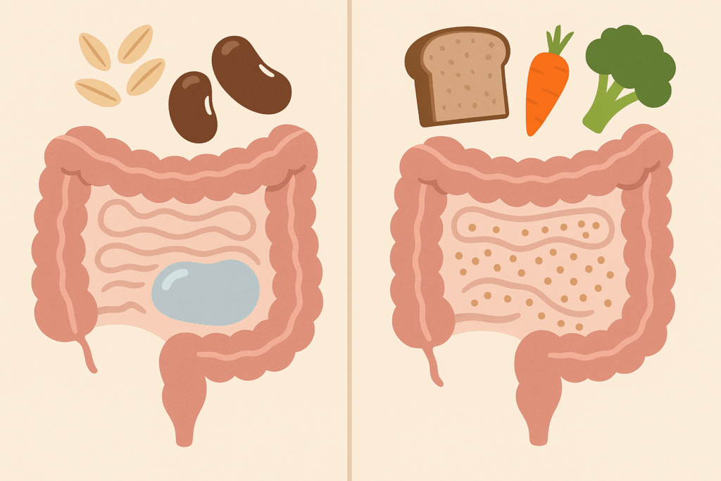 The Essential Guide to the Powerful Nutritional Benefits of Fiber for Gut Health and Digestion 1 Split illustration of digestive tract showing nutritional benefits of fiber, with soluble fiber forming gel from oats and beans, and insoluble fiber adding bulk from whole wheat and vegetables.