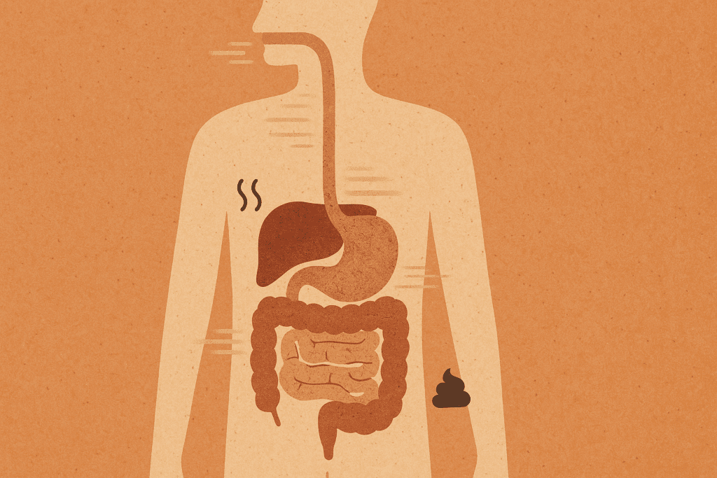 What Happens When You Stop Eating? Recognizing the Physical Signs and Health Risks of Not Eating Enough 5 Illustration of impaired digestion showing sluggish intestines and bloating symptoms, visualizing what happens when you stop eating