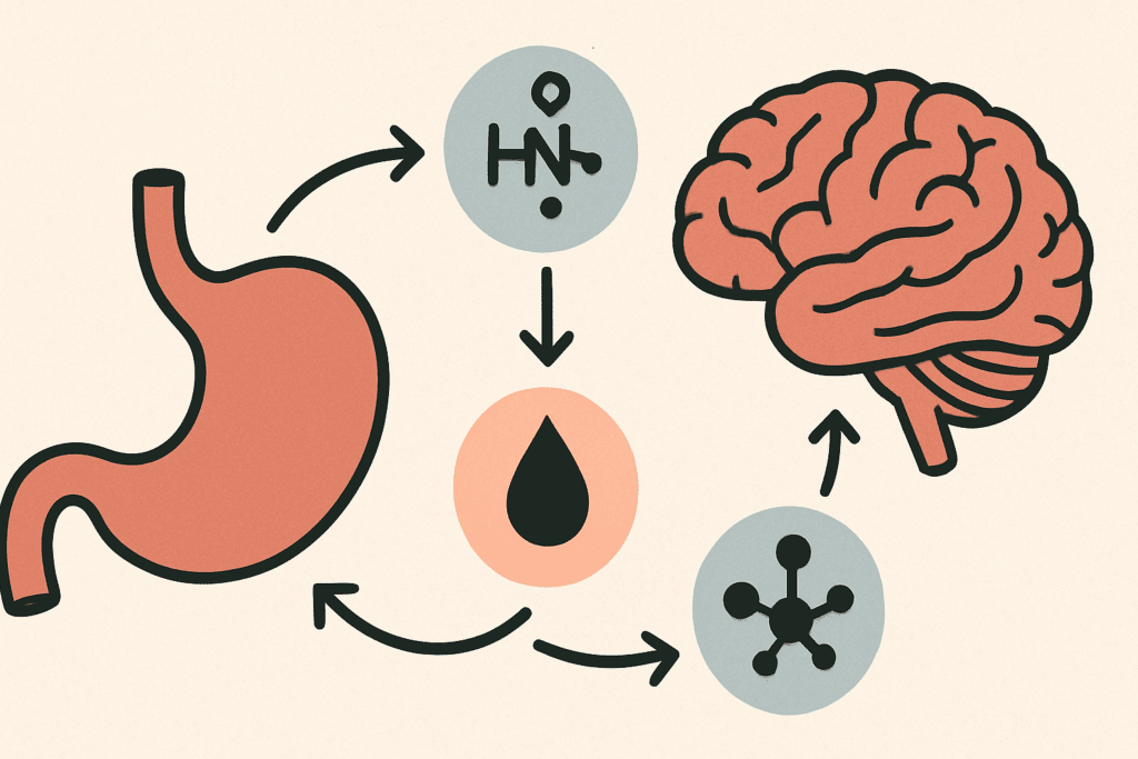 Diagram illustrating the hormones ghrelin, leptin, and insulin, showing their effects on the brain and stomach, explaining Why Am I Always Hungry?