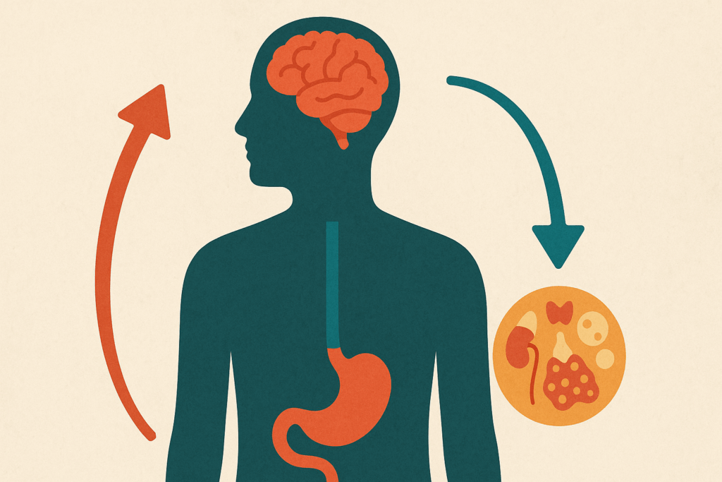Why Your Fat Loss Diet Is Making You Eat More: How to Manage Hunger When You’re Trying to Lose Weight but Always Hungry 1 Diagram showing hormonal response to a fat loss diet with rising ghrelin, falling leptin, and brain-stomach-endocrine interplay.